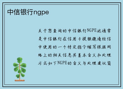 中信银行ngpe
